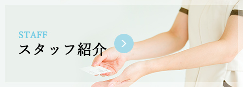 スタッフ紹介